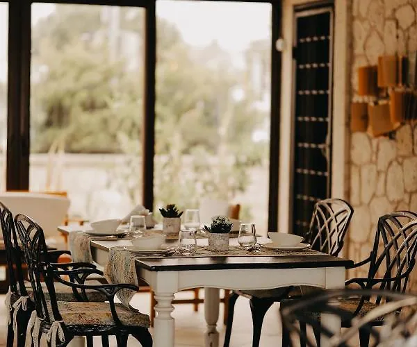 מלון Muup אלאקאטי