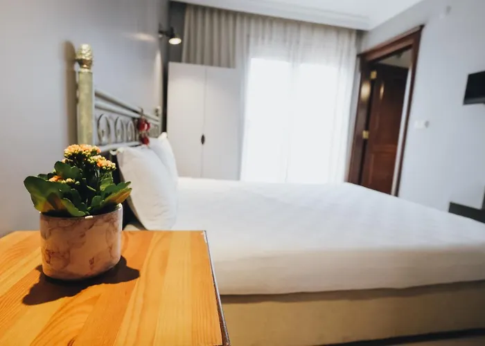 מלון Muup אלאקאטי